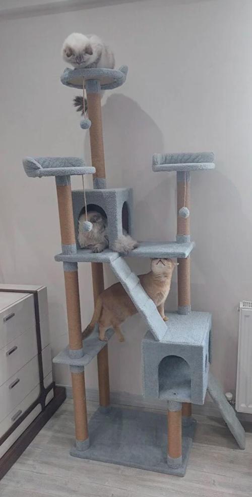Cat City Kedi Tırmalama ve Oyun Evi Çok Katlı Kedi Evi