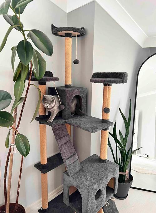 Cat City Kedi Tırmalama ve Oyun Evi Çok Katlı Kedi Evi