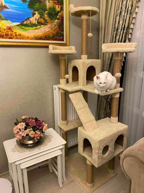 Cat City Kedi Tırmalama ve Oyun Evi Çok Katlı Kedi Evi