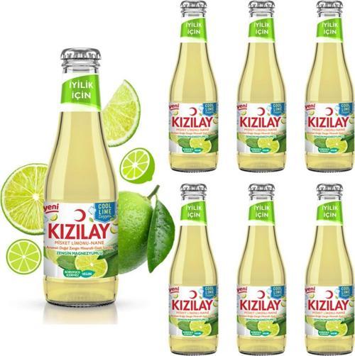MADEN SUYU DOĞAL COOL LİME MİSKET LİMONU VE NANE AROMALI 200 ML X 6 ADET