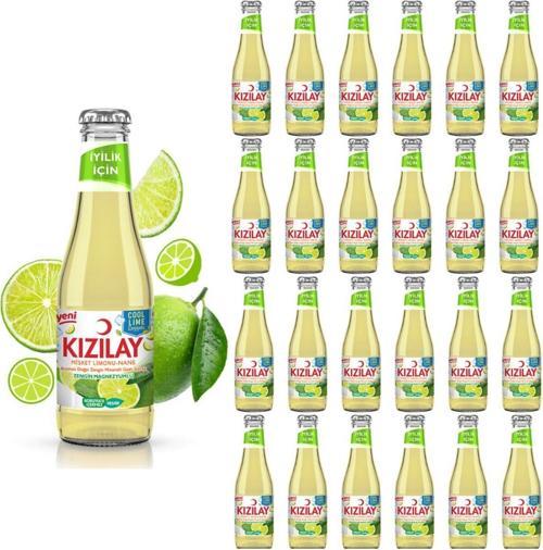 MADEN SUYU DOĞAL COOL LİME MİSKET LİMONU VE NANE AROMALI 200 ML X 24 ADET