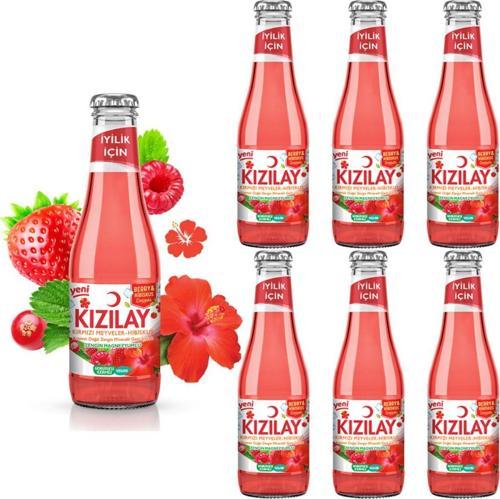 MADEN SUYU DOĞAL KIRMIZI MEYVELER HİBİSKUS AROMALI 200 ML X 6 ADET