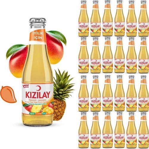 MADEN SUYU DOĞAL MANGO ANANAS AROMALI 200 ml X 24 ADET