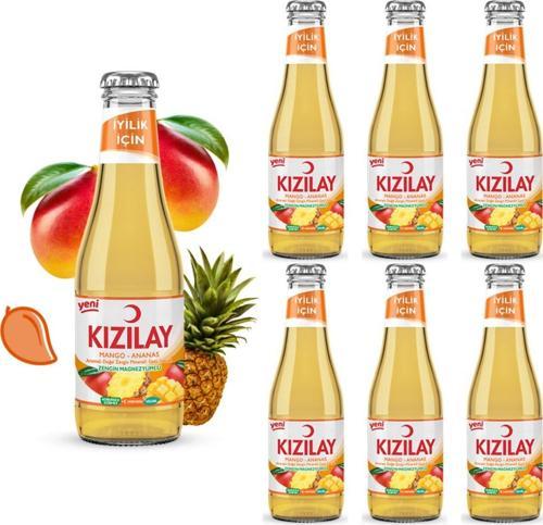 MADEN SUYU DOĞAL MANGO ANANAS AROMALI 200 ml X 6 ADET