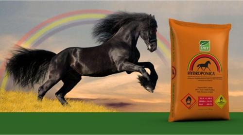 Potasyum Nıtrat 1Kg