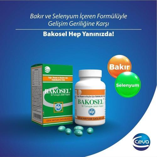 Bakosel Sığır Ve Koyunlar Için Tamamlayıcı Yem 50 Kapsül