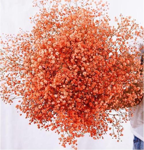 Kuru Çiçek Doğal TURUNCU Cipso 50gram 1. Kalite Şoklanmış Bozulmaz