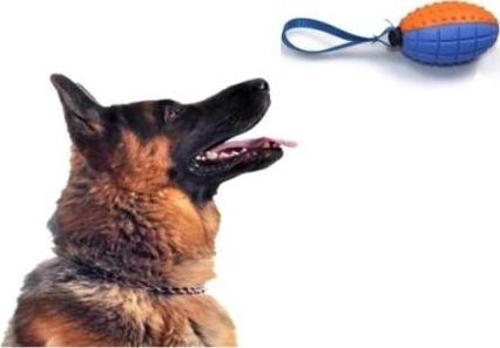 Büro Ev Evcil Hayvanı için Diş Kaşıma Oyun Köpek Topu