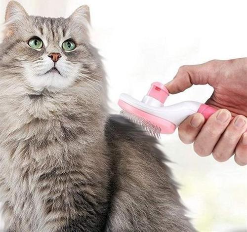 Büro Ev Evcil Hayvanı için Kedi Köpek Tüy Toplar Temizlik Pembe Saplı Tarak