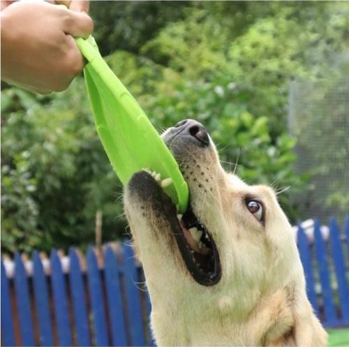 Büro Ev Ofis Evcil Pet Hayvanı Köpek için Silikon Oyuncak Frizbi