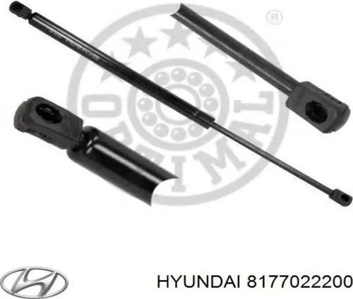 Bagaj Amortısörü Tek Taraf Kore Accent Benzın 1995-1999 (Oem No: 8178022200)