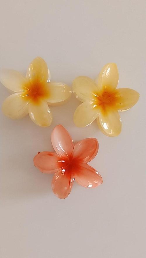 Bestgrup 3'Lü Lotus Hibiscus Çiçek Mandal Toka Büyük Boy