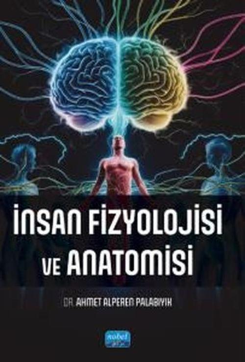 İnsan Fizyolojisi ve Anatomisi