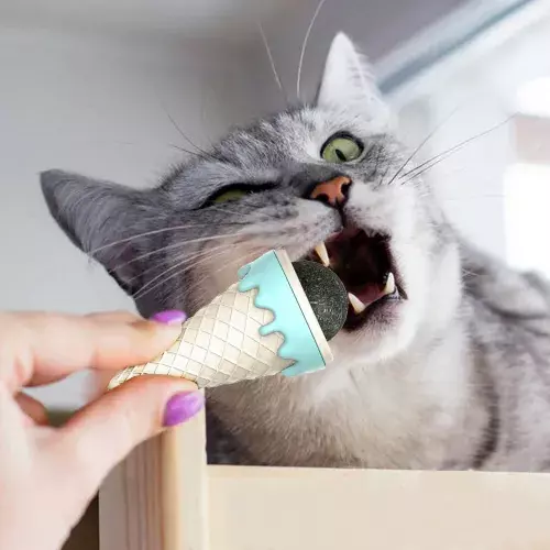 Büro Ev Evcil Hayvanı için Dondurma Tipi Kedi Otu Nanesi Oyuncak
