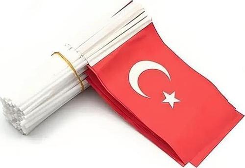 Çubuklu Kağıt Bayrak (80'li) 12x20 cm