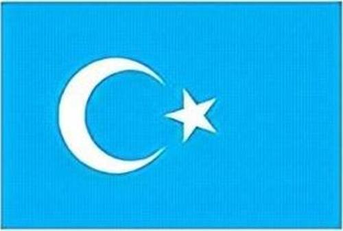 Doğu Türkistan Masa Bayrağı