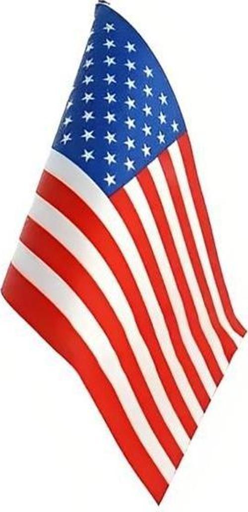 ABD (USA) Masa Bayrağı