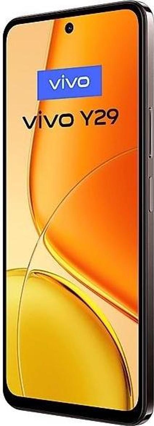 Y29 256 8 Gb Ram (Vivo Türkiye Garantili) Kahverengi 256 GB