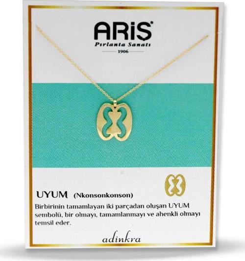 Adinkra Uyum Sembolü Kolye (Nkonsonkonson)