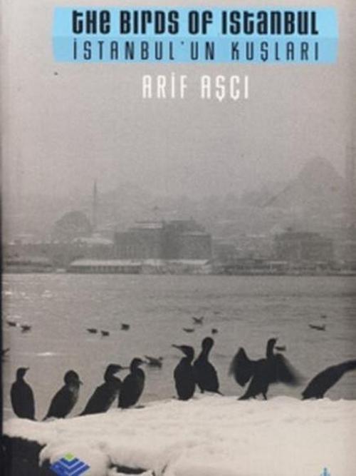 İstanbul'un Kuşları