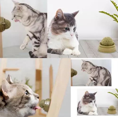 Kedi Nanesi Oyun Topu