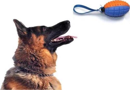 Köpek Diş Kaşıma Oyun Topu