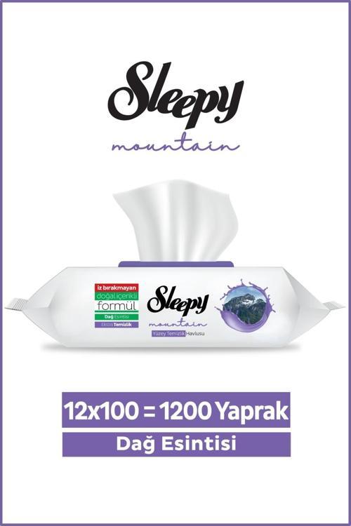 Mountain Yüzey Temizlik Havlusu&Mendili Dağ Esintisi 12x100 (1200 Yaprak)