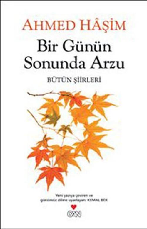 Bir Günün Sonunda Arzu