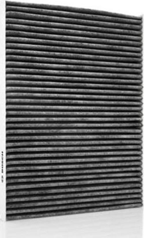 Polen Filtresi P207 06 C3 09 Ds3 10 Karbonlu 1987432436