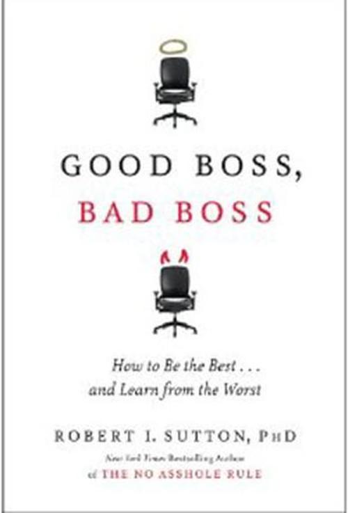 Good Boss Bad Boss