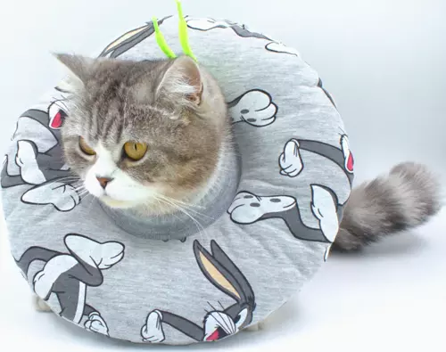 Kedi Köpek Yakalık Gri Tavşan Figürlü No:5