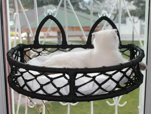 Lüxperilay Cam Güzeli Kedi Köpek Yatak Mix 50X35 Cm