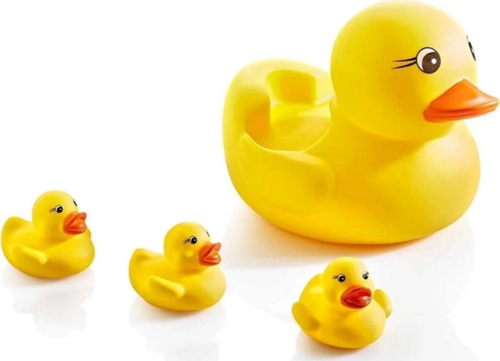 Filede Sevimli Ördek Ailesi