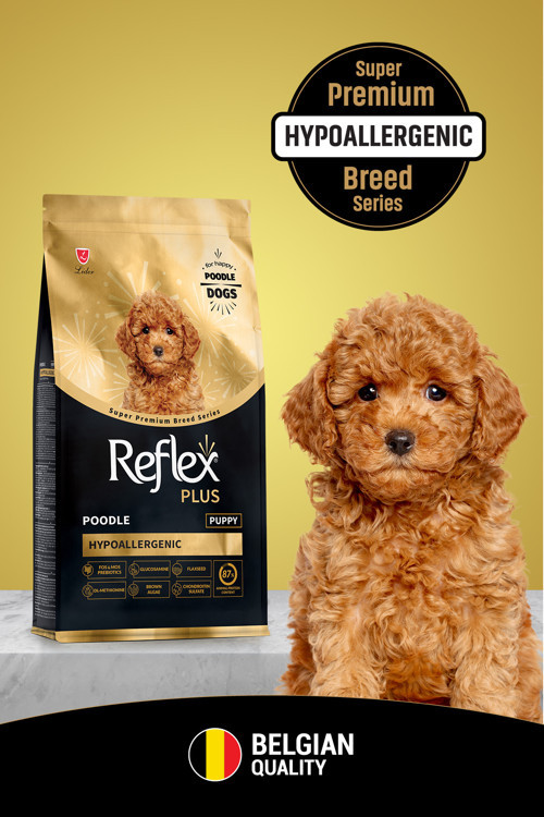 Plus Poodle Yavru Köpek Maması 8 Kg