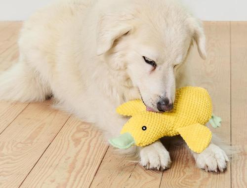 Pelüş Köpek Oyuncağı, Ördek, Geri Dön. PES, Büyük