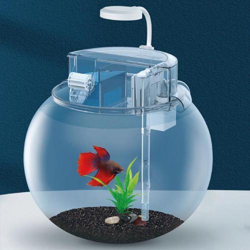 YG-25 Fanus Akvaryum Seti 24x24x24 Cm (5,8L)