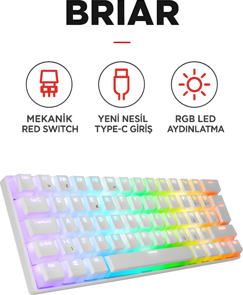 Brıar Type-C Bağlantılı RGB Puding Tuşlu Mekanik Red Switch Türkçe Q Gaming Oyuncu Klavyesi Beyaz