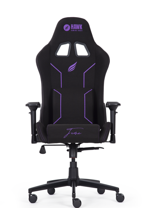 Fame Amethyst 4D Kolçak Kumaş Gaming (Oyuncu) Koltuk