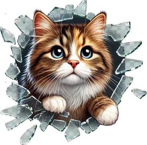 Fulcar Stray Araç Stickerı