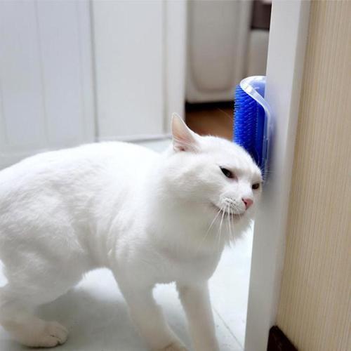 Pratik Kedi Tüyü Kaşıma Ve Tarama Aparatı Duvara Monte Kaşıma Aleti  GO50608278530