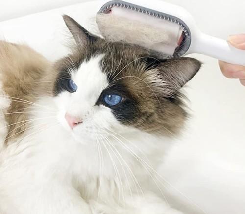 Kedi Köpek Tüy Toplama Tarağı