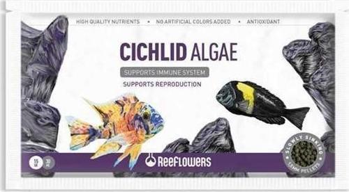 Cichlid Algae Ciklet Balık Yemi 15 Gr