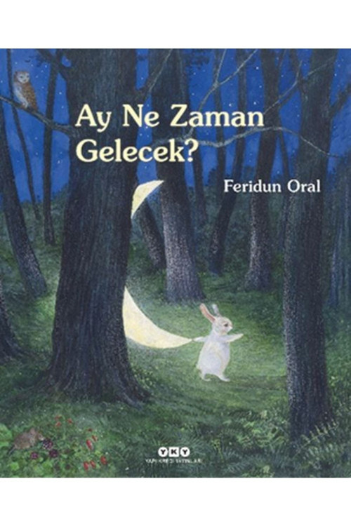 Ay Ne Zaman Gelecek?