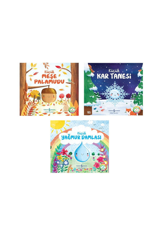 Küçük Meşe Palamudu & Küçük Kar Tanesi & Küçük Yağmur Damlası