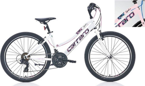 Speed 242 24 Jant Shimano 21 Vites Kız Çocuk Bisikleti