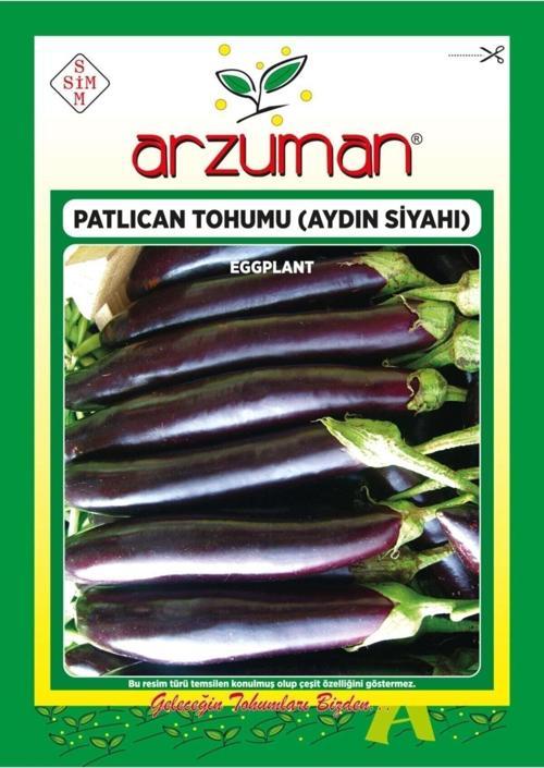 Patlıcan Tohumu(Aydın Siyahı)