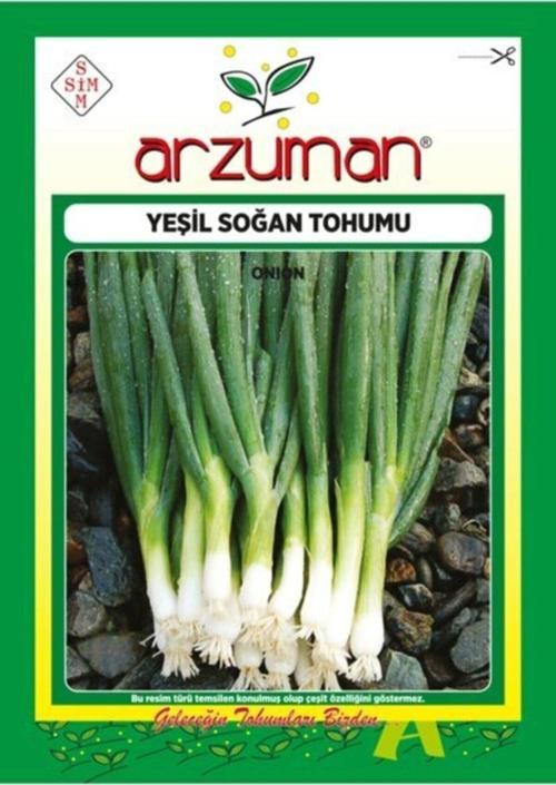 Yeşil Soğan Tohumu