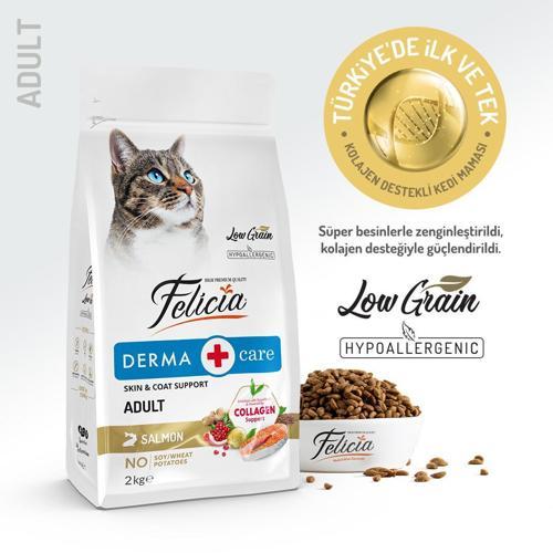 2 Kg Kolajenli Somonlu Az Tahıllı Yetişkin Kedi Maması