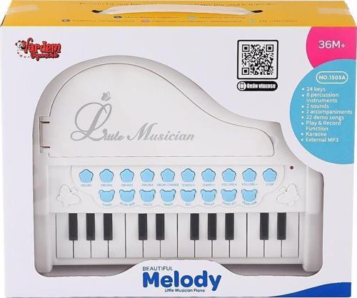 BAO-1505A Mikrofonlu Mini Piano 24 Tuş MP3 Çalar
