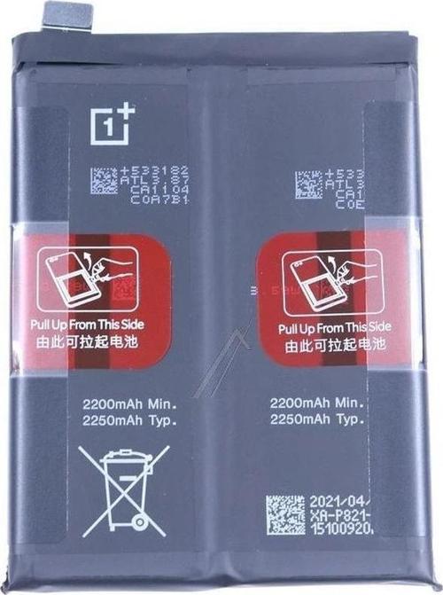 Oneplus 9 Pil Batarya Blp821